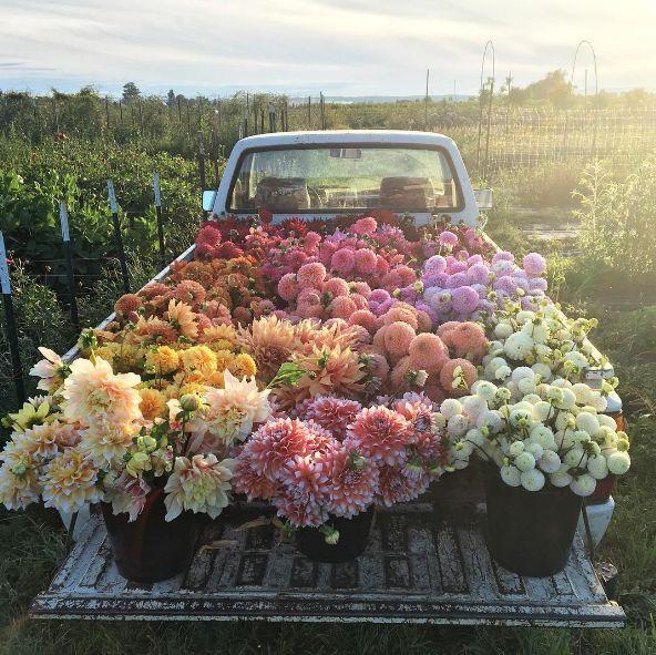 Secret Garden Whimsy Floral Bouquet